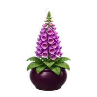 Foxglove Bells in full bloom