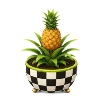 Pineapple, fully grown