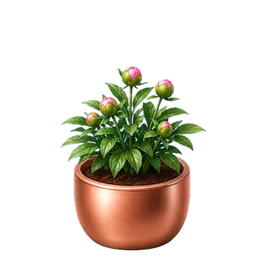 Peony Cloud at stage 4 of 8, art from the app